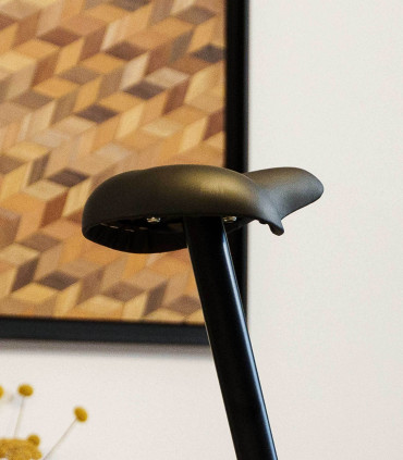 Heimtrainer - SV-326-2 - STRIALE - Generalüberholt