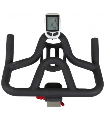 Biking-Fahrrad CLUB RACER-2 - Generalüberholt