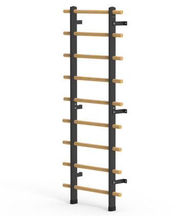 Sprossenwand - CARE - Holz und Metall mit Optionen