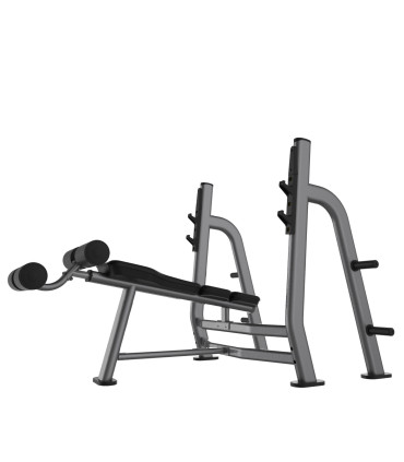 Schrägbank Krafttraining Negativ PRO - CARE - Brustmuskeln mit freien Gewichten