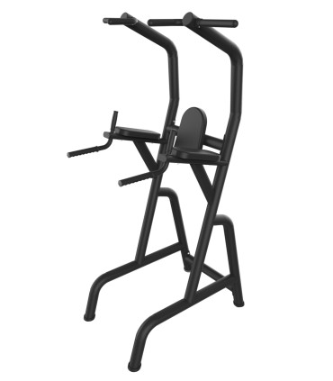 Römischer Stuhl - CARE - Bauch- und Rückenstation und Dips