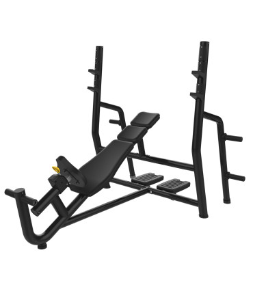 Olympische Schrägbankdrücken - CARE - Incline Chest Pressress