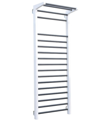 Sprossenwand Fitness - CARE - Aus Metall mit Klimmzugstange