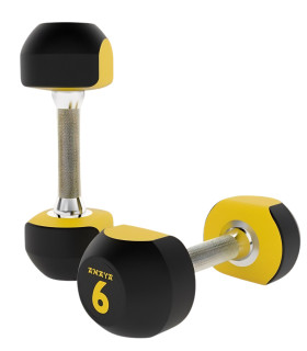 Bi-Color Hanteln - Polyurethan