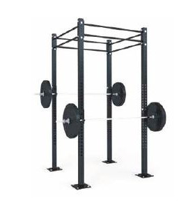 FUNCTIONAL STRUCTURE B1