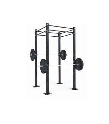 FUNCTIONAL STRUCTURE B1