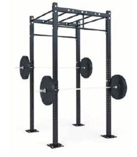 FUNCTIONAL STRUCTURE - D1