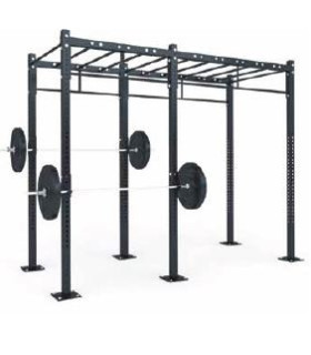 FUNCTIONAL STRUCTURE - D2