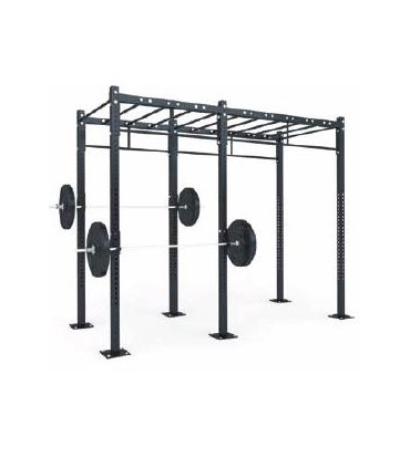 FUNCTIONAL STRUCTURE - D2