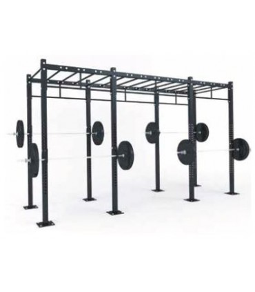 FUNCTIONAL STRUCTURE D3