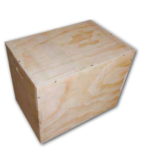 PLYO BOX