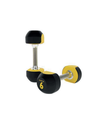 Zweifarbige Hanteln - Polyurethan 20kg