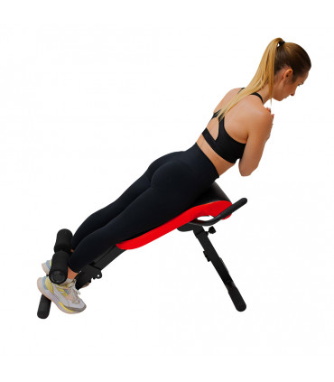 Rückenboard - AB DORSAL - CARE - Generalüberholt