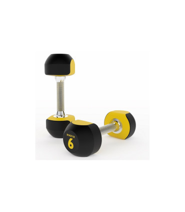 Zweifarbige Hanteln - Polyurethan 4kg