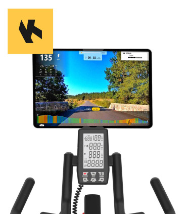 Biking-Fahrrad - CARE - COMPETITOR - Magnetisch