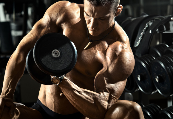 Krafttraining: Sind Masseaufbau und Cardio kompatibel?